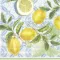 Citrus limon citromos szalvéta, 3 rétegű, 20 db/csomag, IHR