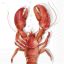 Lobster homáros szalvéta, 3 rétegű, 20 db/csomag, IHR, 33X33 CM