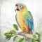 EXOTIC PARROT PAPAGÁJOS SZALVÉTA, 3 RÉTEGŰ, 20 DB/CSOMAG, IHR, 33x33 cm