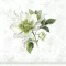 Christmas rose ünnepi szalvéta, 3 rétegű, 20 db/csomag, IHR