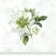 Christmas rose ünnepi szalvéta, 3 rétegű, 20 db/csomag, IHR