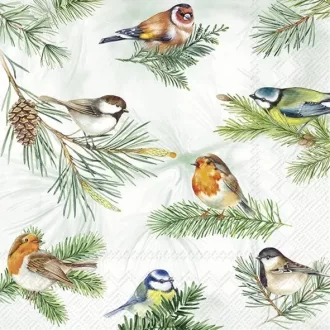   Charming birds madaras szalvéta (koktél), 3 rétegű, 20 db/csomag, IHR