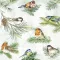 Charming birds madaras szalvéta (koktél), 3 rétegű, 20 db/csomag, IHR