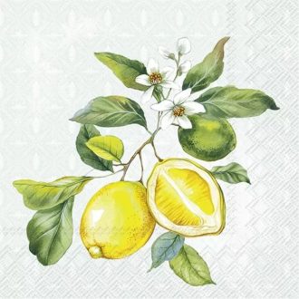  LEMON WREATH CITROMOS SZALVÉTA (KOKTÉL), 3 RÉTEGŰ, 20 DB/CSOMAG, IHR