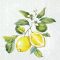 LEMON WREATH CITROMOS SZALVÉTA (KOKTÉL), 3 RÉTEGŰ, 20 DB/CSOMAG, IHR