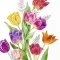 Bright tulips tulipános szalvéta, 3 rétegű, 20 db/csomag, IHR, 33x33 cm