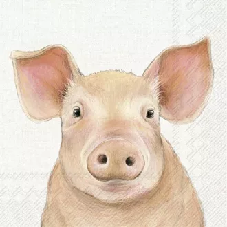   Farm pig malacos szalvéta, 3 rétegű, 20 db/csomag, IHR, 33x33 cm