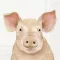 Farm pig malacos szalvéta, 3 rétegű, 20 db/csomag, IHR, 33x33 cm