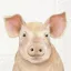 Farm pig malacos szalvéta, 3 rétegű, 20 db/csomag, IHR, 33x33 cm