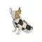 Bulldog kutya szobor – fekete-fehér, arany, 26,5 cm