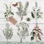 BOTANIC SZALVÉTA, 3 RÉTEGŰ, 20 DB/CSOMAG, HOME FASHION, 33x33 CM