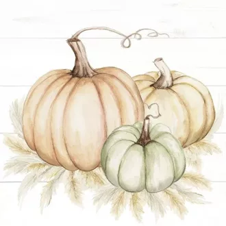   Pumpkin trio tökös szalvéta, 3 rétegű, 20 db/csomag, IHR