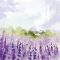 LAVENDER FIELD LEVENDULÁS SZALVÉTA, 3 RÉTEGŰ, 20 DB/CSOMAG, 33x33 cm