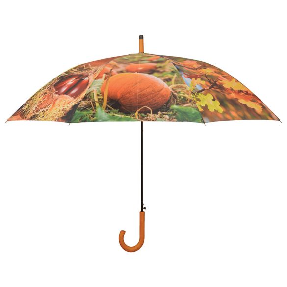 Őszi esernyő