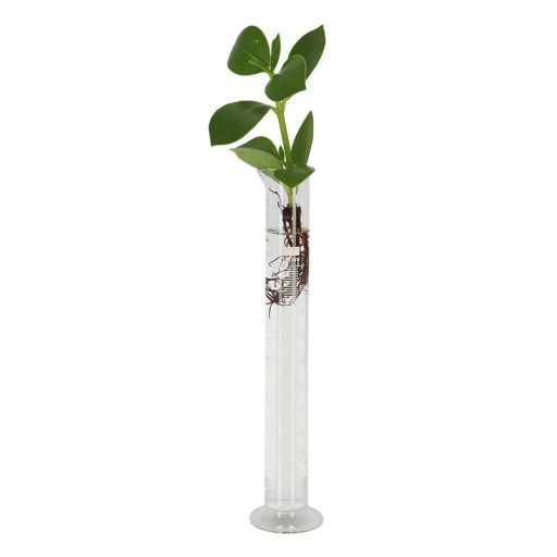Talpas mérőhenger, 25 cm