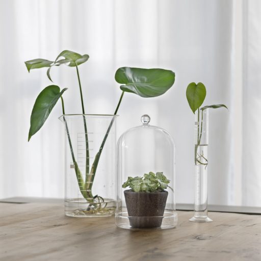 Dekorációs üveg búra, alappal, 12,8 cm átmérőjű