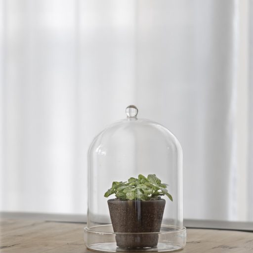 Dekorációs üveg búra, alappal, 16,3 cm átmérőjű