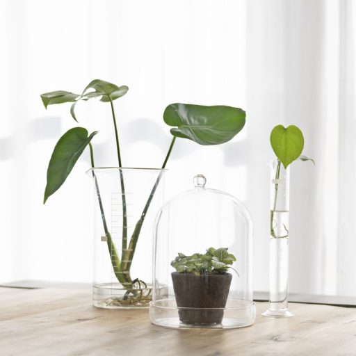 Dekorációs üveg búra, alappal, 16,3 cm átmérőjű