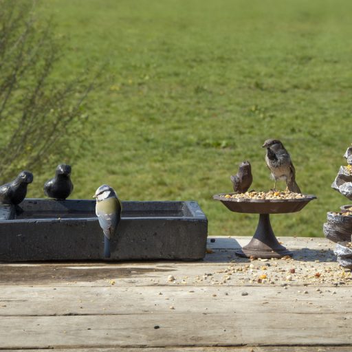 Terrazzo madáretető és itató tál, szögletes