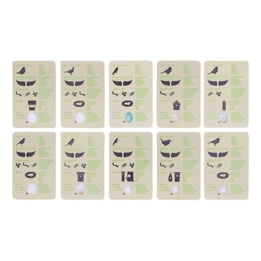 Madaras felfedező szett gyerekeknek, 5 db-os