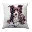 Border collie (barna) kutyás díszpárna huzat