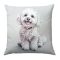 Bichon bolognese kutyás díszpárna huzat