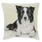 Border collie díszpárna huzat