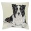 Border collie díszpárna huzat