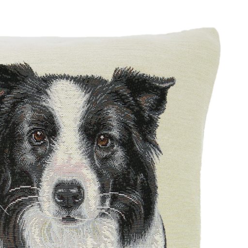 Border collie díszpárna huzat