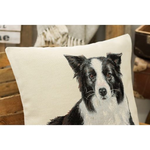 Border collie díszpárna huzat