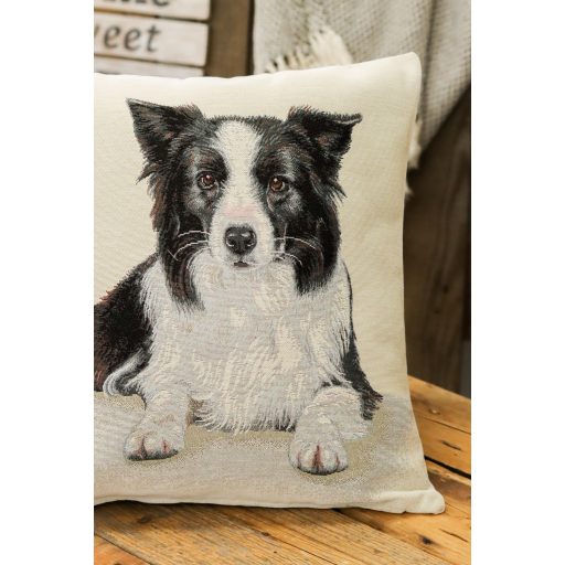 Border collie díszpárna huzat