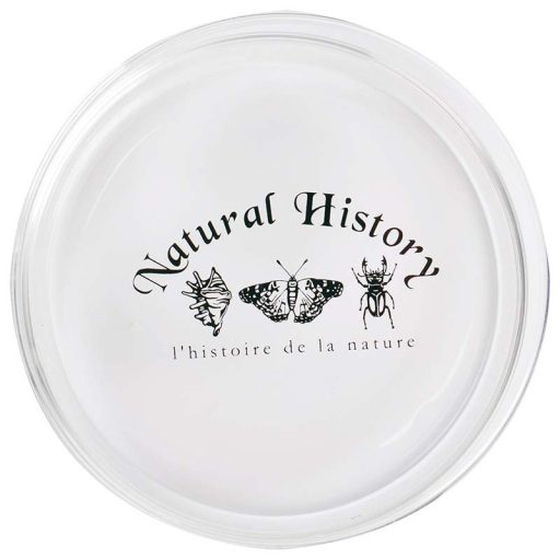Petri csésze, 120 ml
