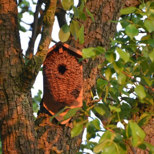 Madárház kókuszrostból, 26 cm