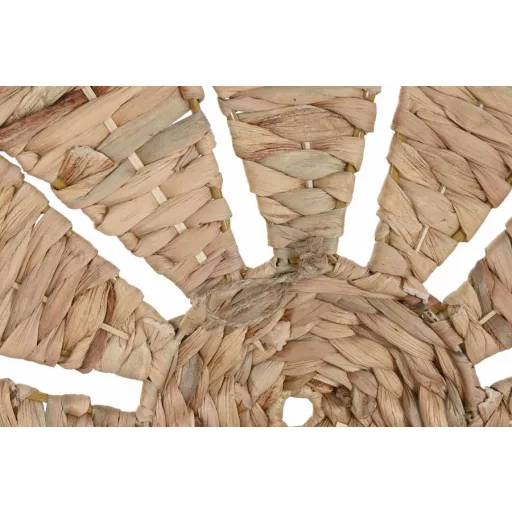 Decoracion pared set 3 jacinto de agua 60x4x60