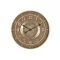 Reloj pared hierro cristal 59x8x59 dorado